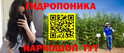 дмт Бузулук